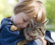 AMAZING: CAT RESCUES BOY FROM DOG ATTACK