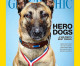 Canine war hero honored