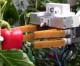 Disrupting the Apple Cart: Abundant Robotics to Automate Orchard Harvests  Leading-Edge AgTech Company Leverages Technology from SRI International to Make Nutritious Food More Accessible