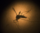 Vital Support for Zika Response Provided by Pfizer and Pfizer Foundation Contributions Vital Support for Zika Response Provided by Pfizer and Pfizer Foundation Contributions