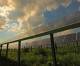 Clean energy for California: NextEra Energy Resources celebrates commissioning of Blythe and McCoy Solar Energy Centers Clean energy for California: NextEra Energy Resources celebrates commissioning of Blythe and McCoy Solar Energy Centers