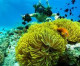 Organic Baby Skin Care Brand MADE OF® Shares 3 Ways to Stop Killing Coral Reefs With Sunscreen Organic Baby Skin Care Brand MADE OF® Shares 3 Ways to Stop Killing Coral Reefs With Sunscreen