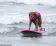 Surf’s PUP! Adorable moment therapy dog Ricochet helps disabled children and adults learn to ride the waves