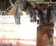 Paw you! Brave cops rescue a bear stuck in dumpster and then run away fast Paw you! Brave cops rescue a bear stuck in dumpster and then run away fast