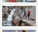 U.S. Postal Service Celebrates the Great Outdoors With New Forever Stamps