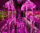 Chinese students spend 370 days sealed in ‘Lunar Palace 1’ growing food and generating oxygen from recycled materials as the nation prepares to build a similar habitat on the moon Chinese students spend 370 days sealed in ‘Lunar Palace 1’ growing food and generating oxygen from recycled materials as the nation prepares to build a similar habitat on the moon
