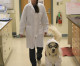 Working ca-nine to five! Golden retriever Sampson becomes research assistant at a chemistry lab where he helps his disabled neuroscientist owner – while decked out in full PPE Working ca-nine to five! Golden retriever Sampson becomes research assistant at a chemistry lab where he helps his disabled neuroscientist owner – while decked out in full PPE
