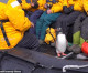 Plucky penguin escapes killer whale by flinging itself onto dinghy full of cheering tourists in Antarctica