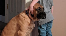 Dog joins 3-year-old during timeout in sweetest viral photo Dog joins 3-year-old during timeout in sweetest viral photo