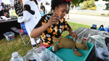 Angels with Heart stuff animals with care Angels with Heart stuff animals with care