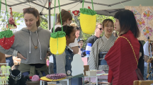 2nd annual Asian American Heritage Festival brings thousands to Columbus Park