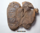The oldest known horseback riding saddle was found in a grave in China