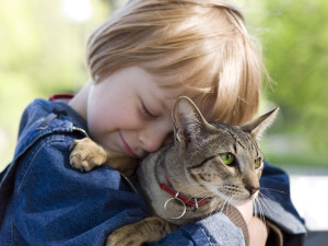 young-boy-saved-by-cat-600x450